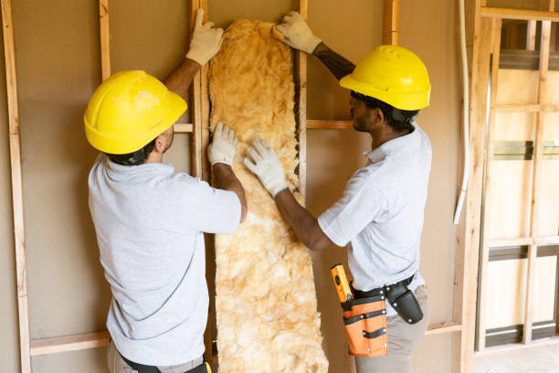 Best Basement Insulation  in Eagle, NE